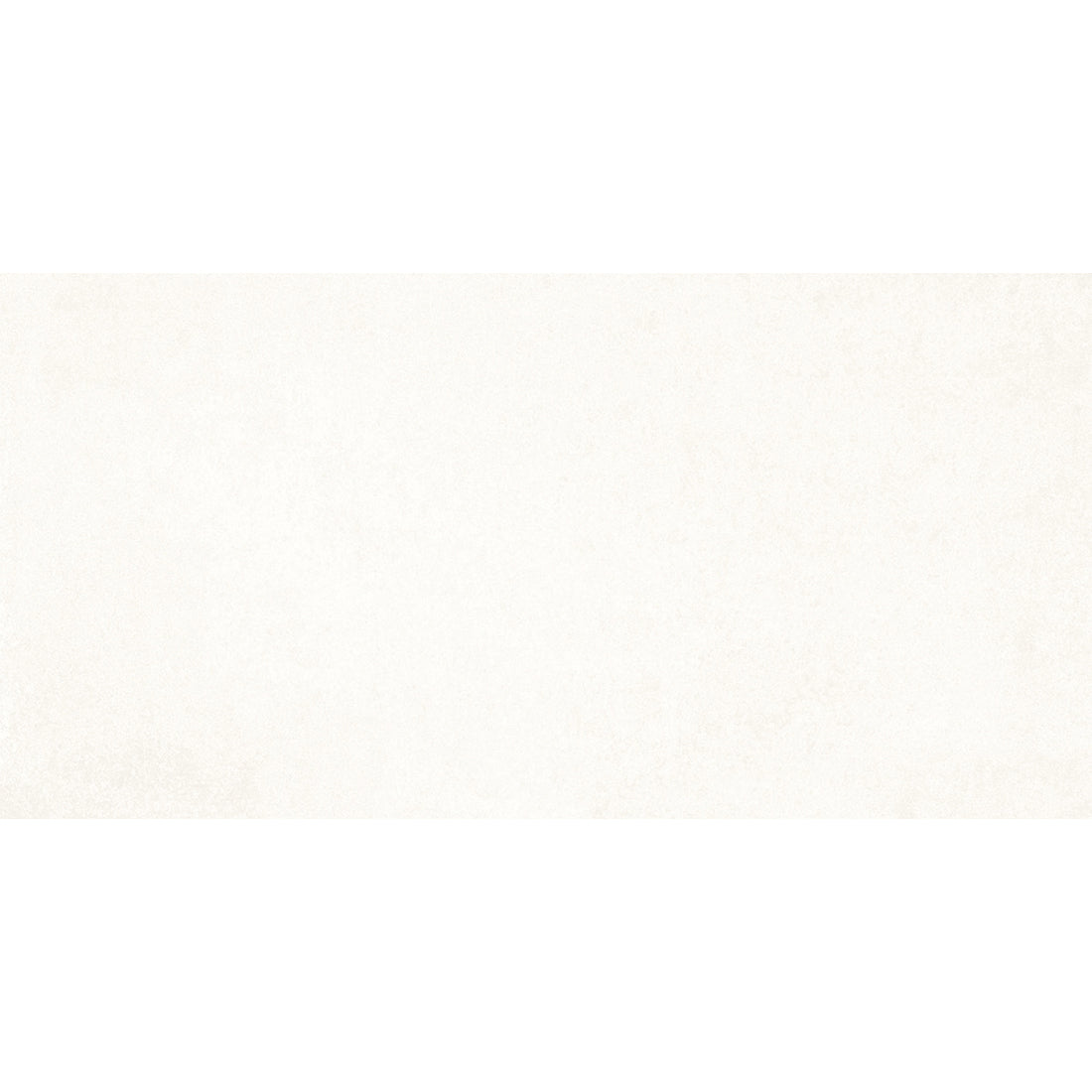 EVR 30x60 Blanco Matt R10