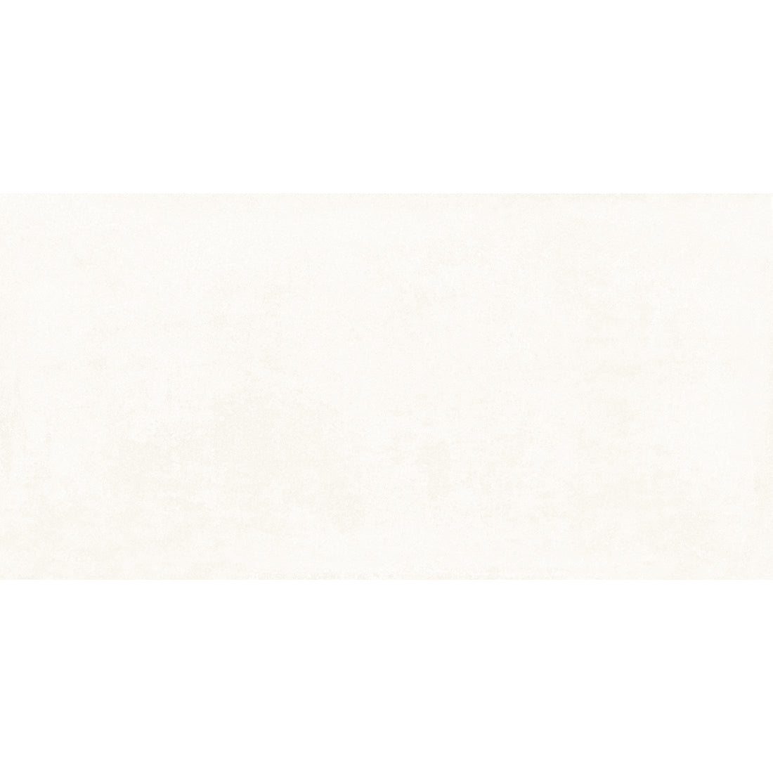 EVR 60x120 Blanco Matt R10