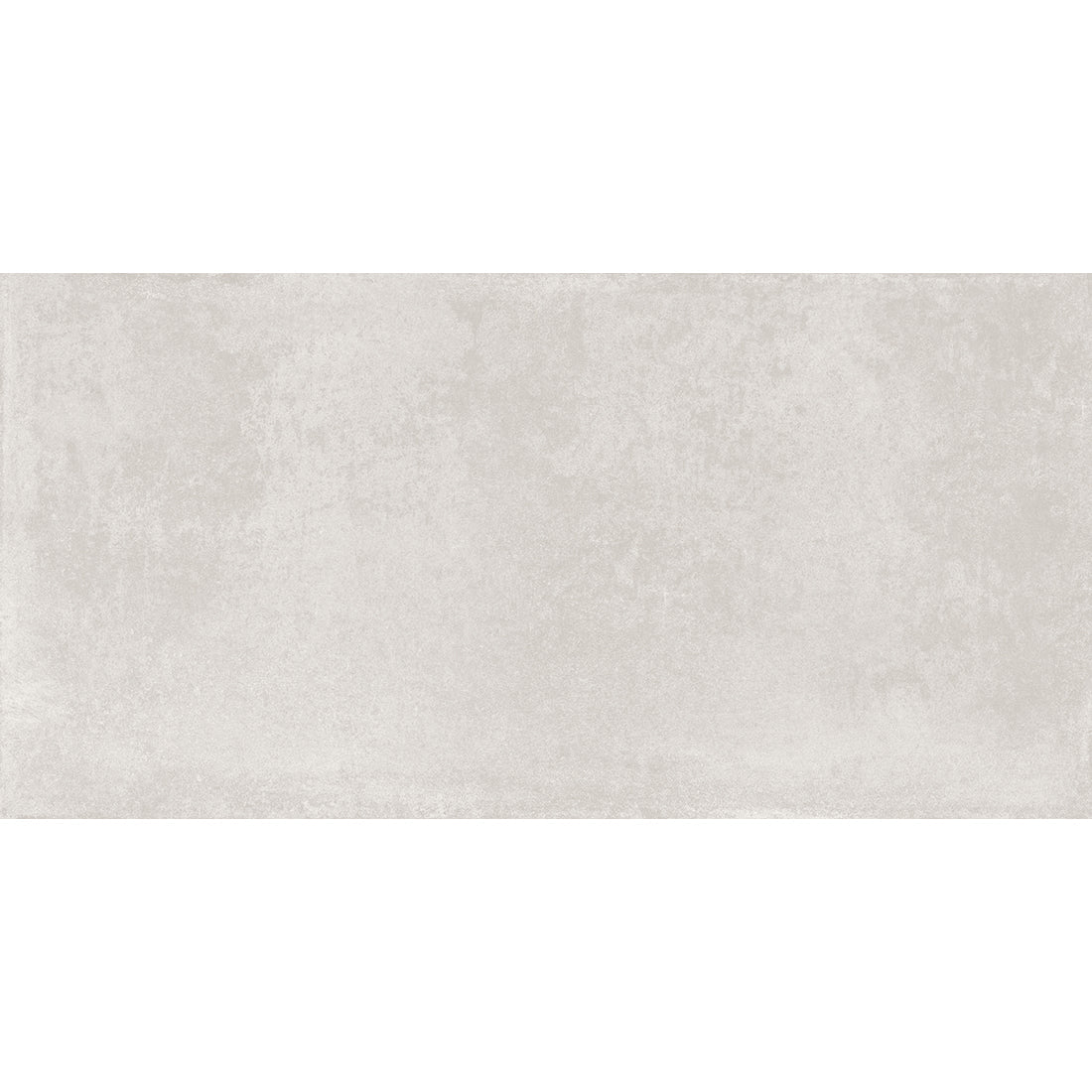 EVR 60x120 Silver Matt R10