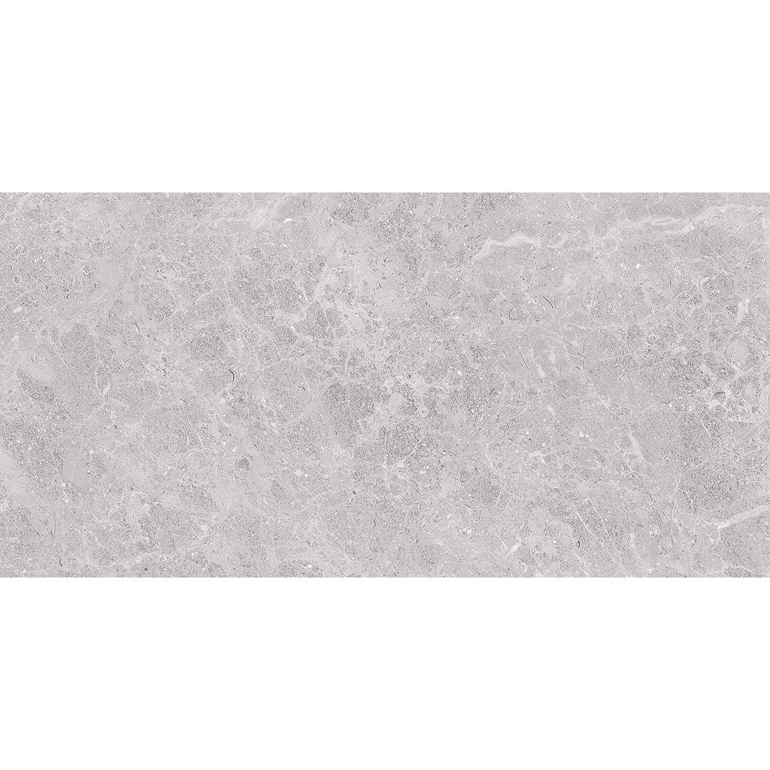 Fossil 30x60 CERAMIC Grey Gloss
