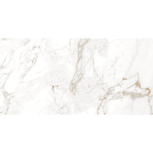 NV 60x120 Brown Matt Carving