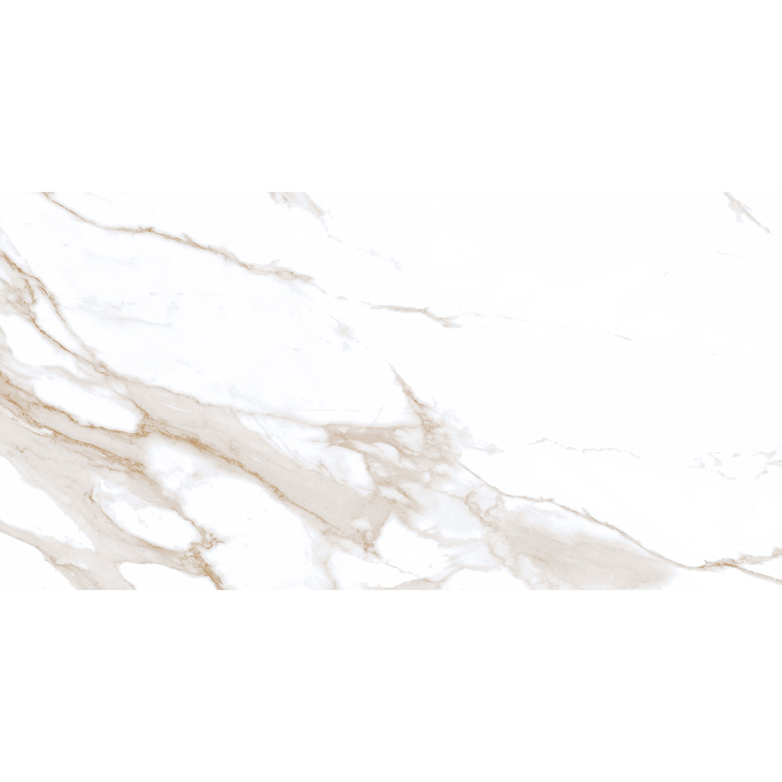 SM 60x120 Gold Polished