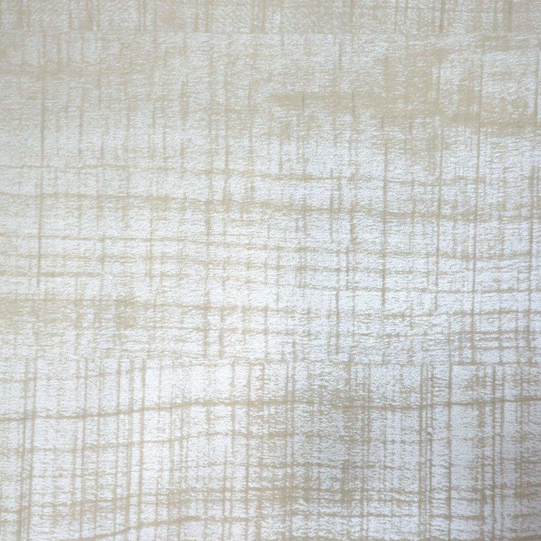 Wall Panel – Ivory Birch