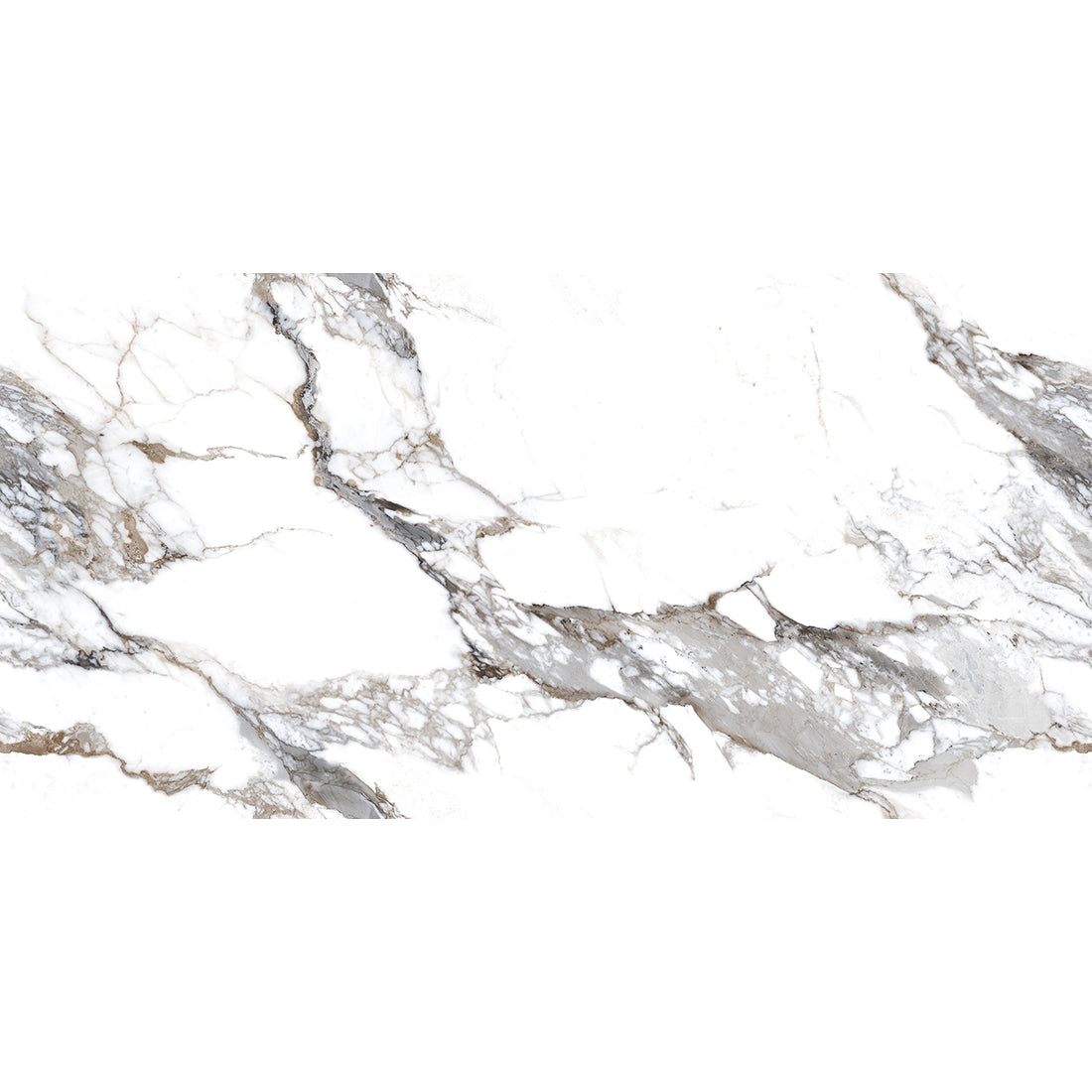 Calacatta italian 60x120 Grey Polished
