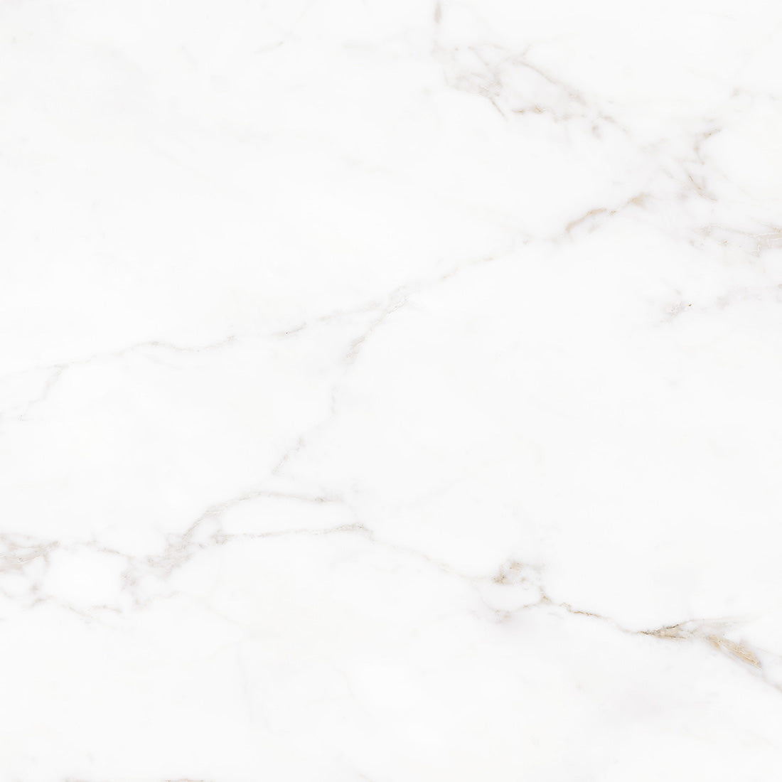 Lucia 119x119 White Polished