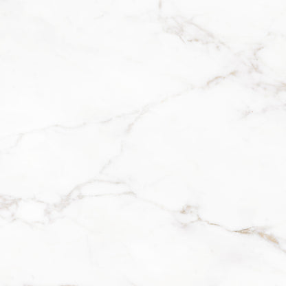 Lucia 119x119 White Polished